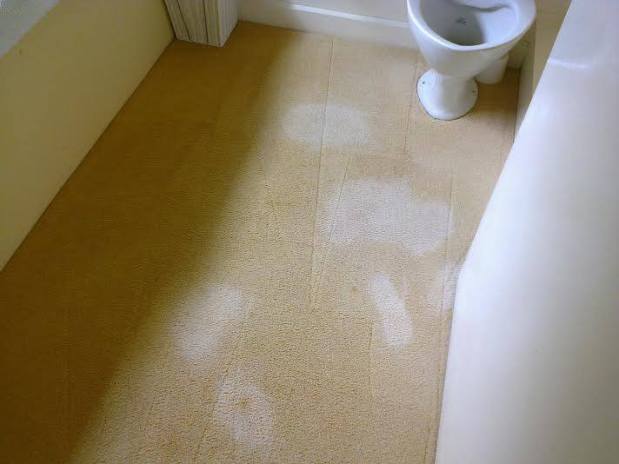 Stain Removal Damage 2